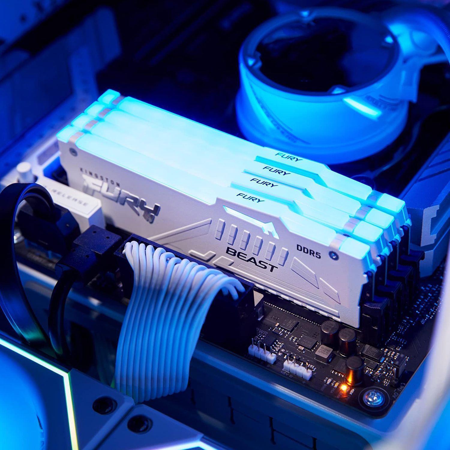 Память оперативная Kingston FURY Beast KF560C36BWEA-32